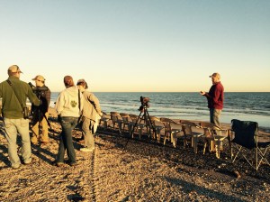 Bird watching on the coast near High Island.  Did you know that birding alone generates $82 billion in indirect economic bebfits, including 671,000 jobs and $11 billion in local, state, and federal taxes.