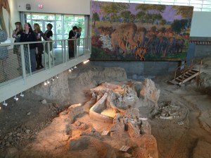 The Exhibit at The Waco Mammoth National Monument